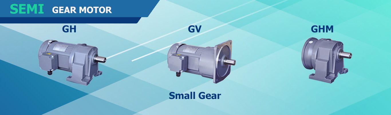 SMALL GEAR MOTOR